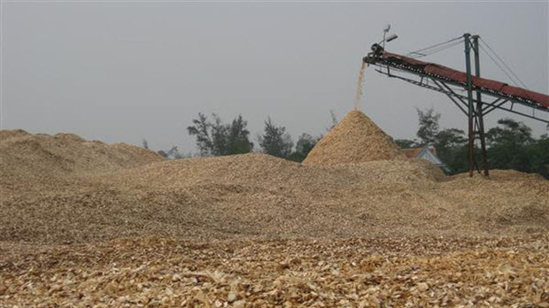  Xuất khẩu gỗ cả năm đạt 7,3 tỷ USD